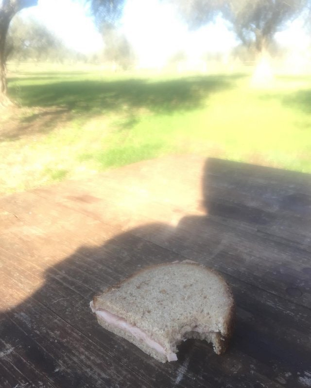 Auto-generated description: A sandwich with a bite taken out of it sits on a wooden table outdoors, with a blurred background of grass and trees.