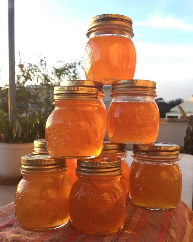 Auto-generated description: A pyramid of glass jars filled with golden marmalade glows in the sunlight against a blurred outdoor background.
