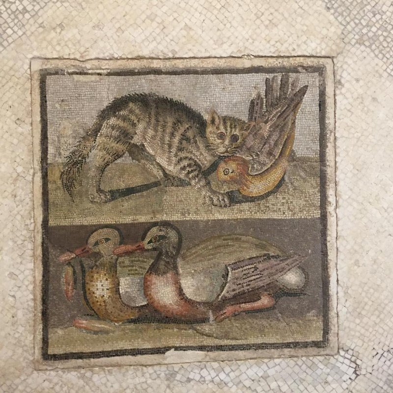 Auto-generated description: A mosaic depicts a cat biting a bird on the top section and two ducks on the bottom section.