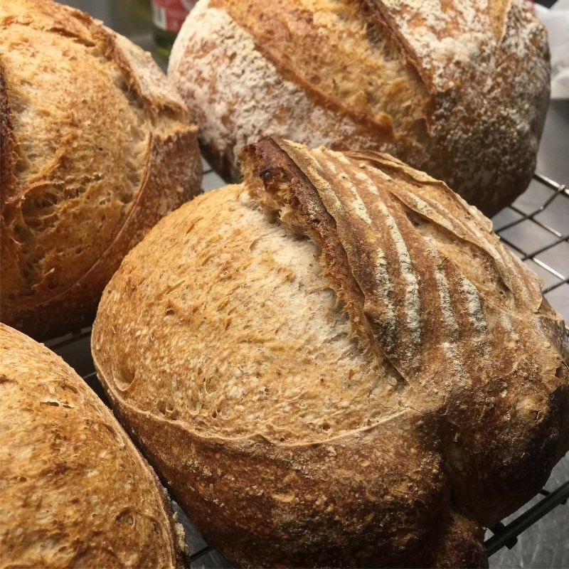 Auto-generated description: Three freshly baked, crusty loaves of bread are cooling on a wire rack.