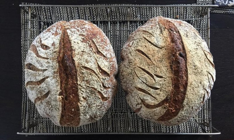 Auto-generated description: Two round, rustic loaves of bread with decorative scoring sit on a cooling rack.