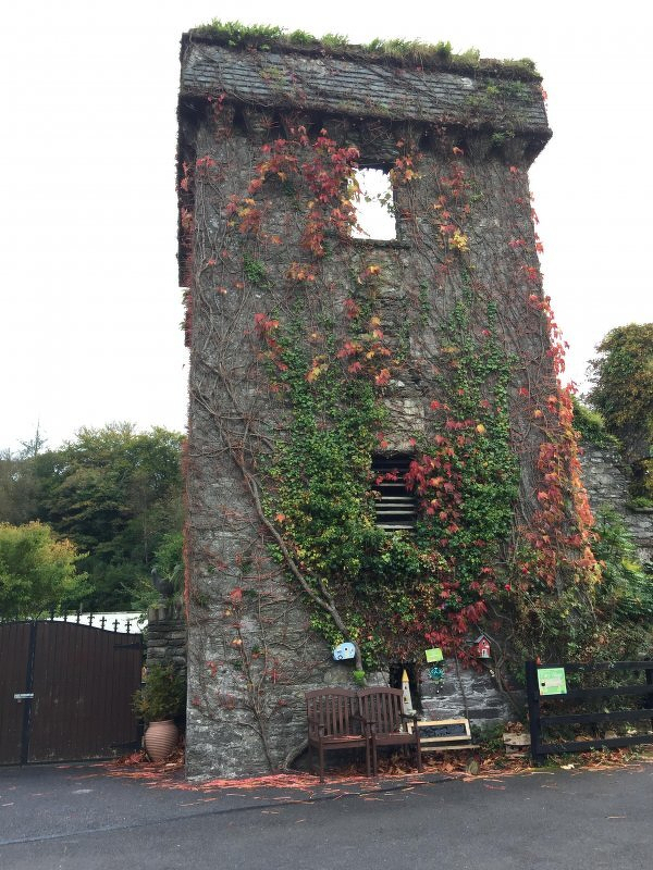Auto-generated description: A tall, rustic stone structure is covered in vibrant climbing plants, with a bench and various small decorations at its base.