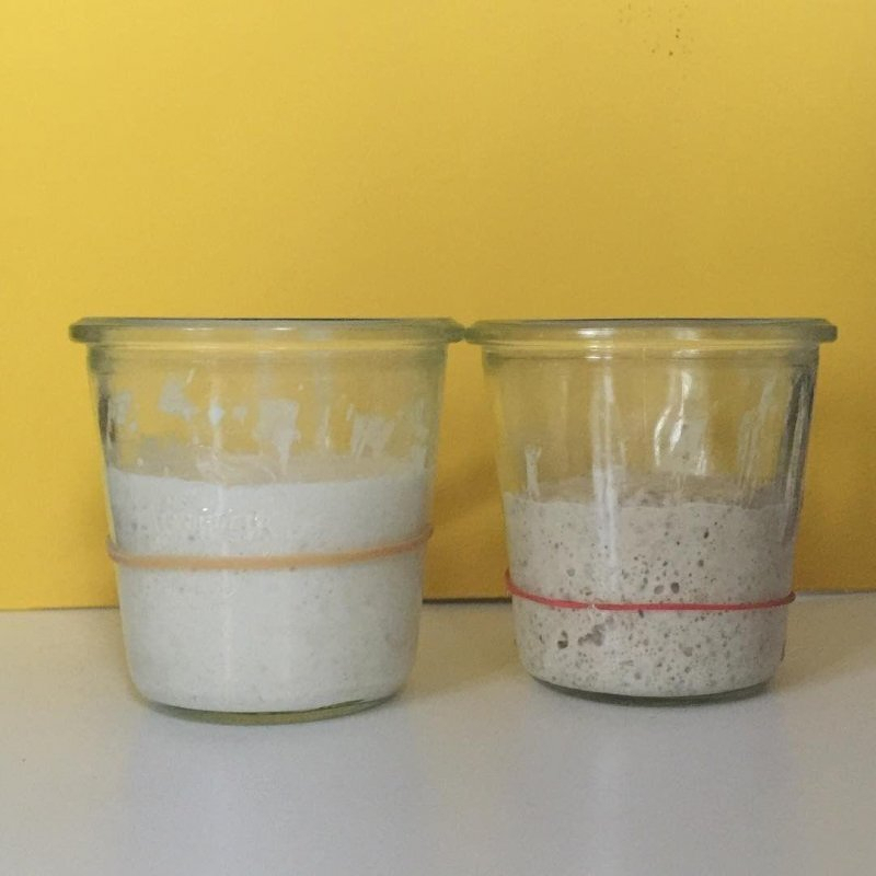 Auto-generated description: Two jars containing different types of dough are placed side by side against a yellow background.