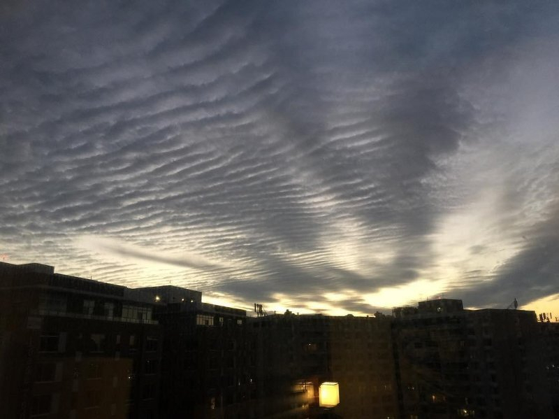 Auto-generated description: Thin layers of wavy clouds stretch across a twilight sky above silhouetted buildings in a cityscape.