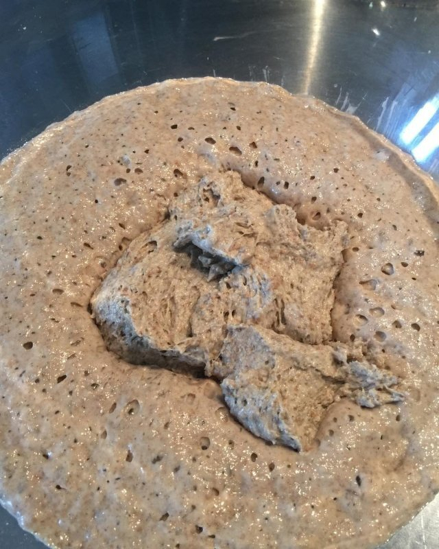 Auto-generated description: A bowl contains a bubbly, active sourdough starter with a thick, risen texture.