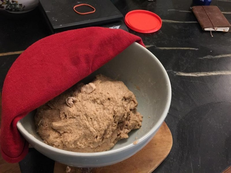 A basin containing sourdough leaven partially covered with a red cloth