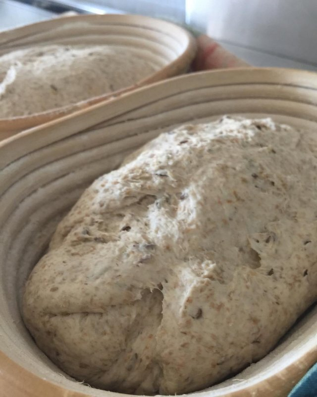 Auto-generated description: Two baskets are filled with rising dough.
