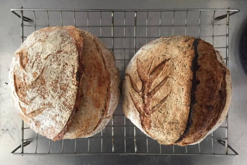 Auto-generated description: Two rustic loaves of bread with scored designs rest on a cooling rack.