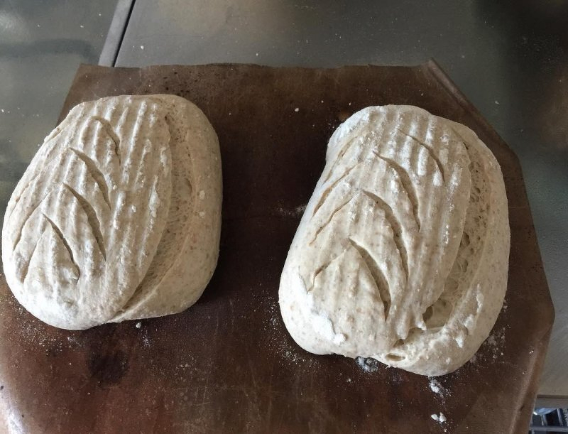 Auto-generated description: Two loaves of unbaked bread dough rest on a baking sheet, each with decorative slashes on top.