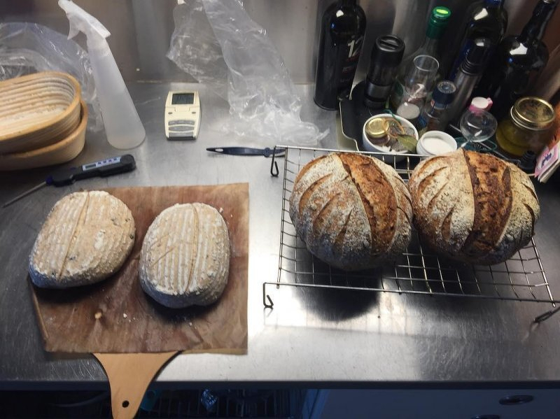 Auto-generated description: Two loaves of baked bread and two unbaked doughs on a wooden board are displayed on a kitchen counter with baking tools and ingredients in the background.