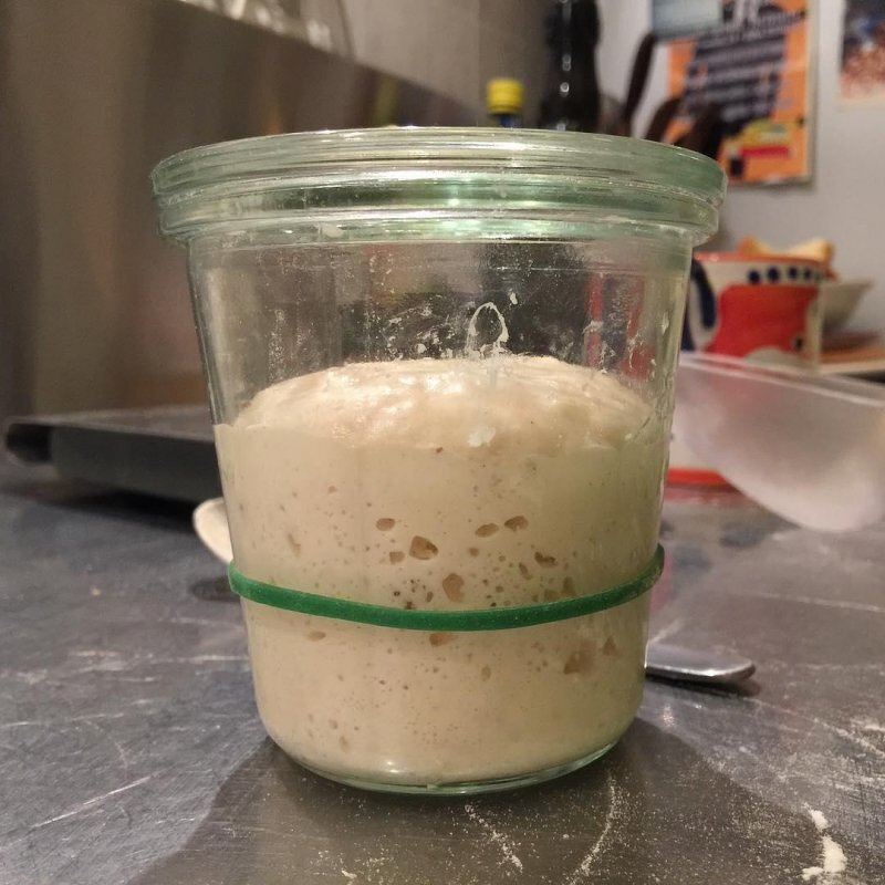 Auto-generated description: A glass jar filled with bubbly sourdough starter with a green rubber band around its middle.
