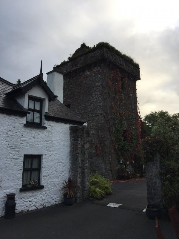 Auto-generated description: A tall, vine-covered stone tower stands next to a quaint white cottage with a dark roof.