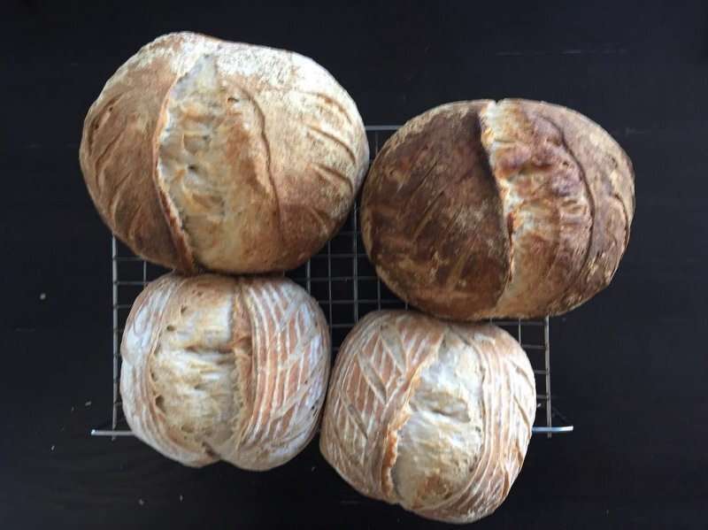 Auto-generated description: Four round loaves of bread rest on a cooling rack.