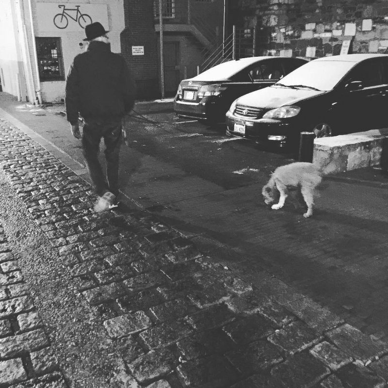 Monochrome image of a man walking a dog past a couple of parked cars covered with a light dusting of snow.