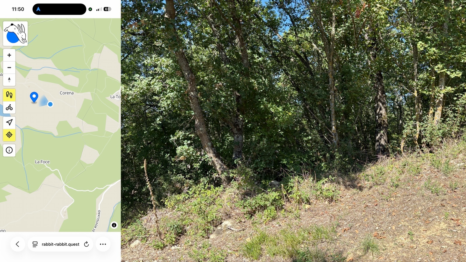 Composite image; On the left my location with the Rabbit, on the  right, a woodland edge sloping down to the left. In the foreground is patchy scrub and the dried stalk of a mullein inflorescence, with the trunks and leaves of mostly oaks in shade behind.